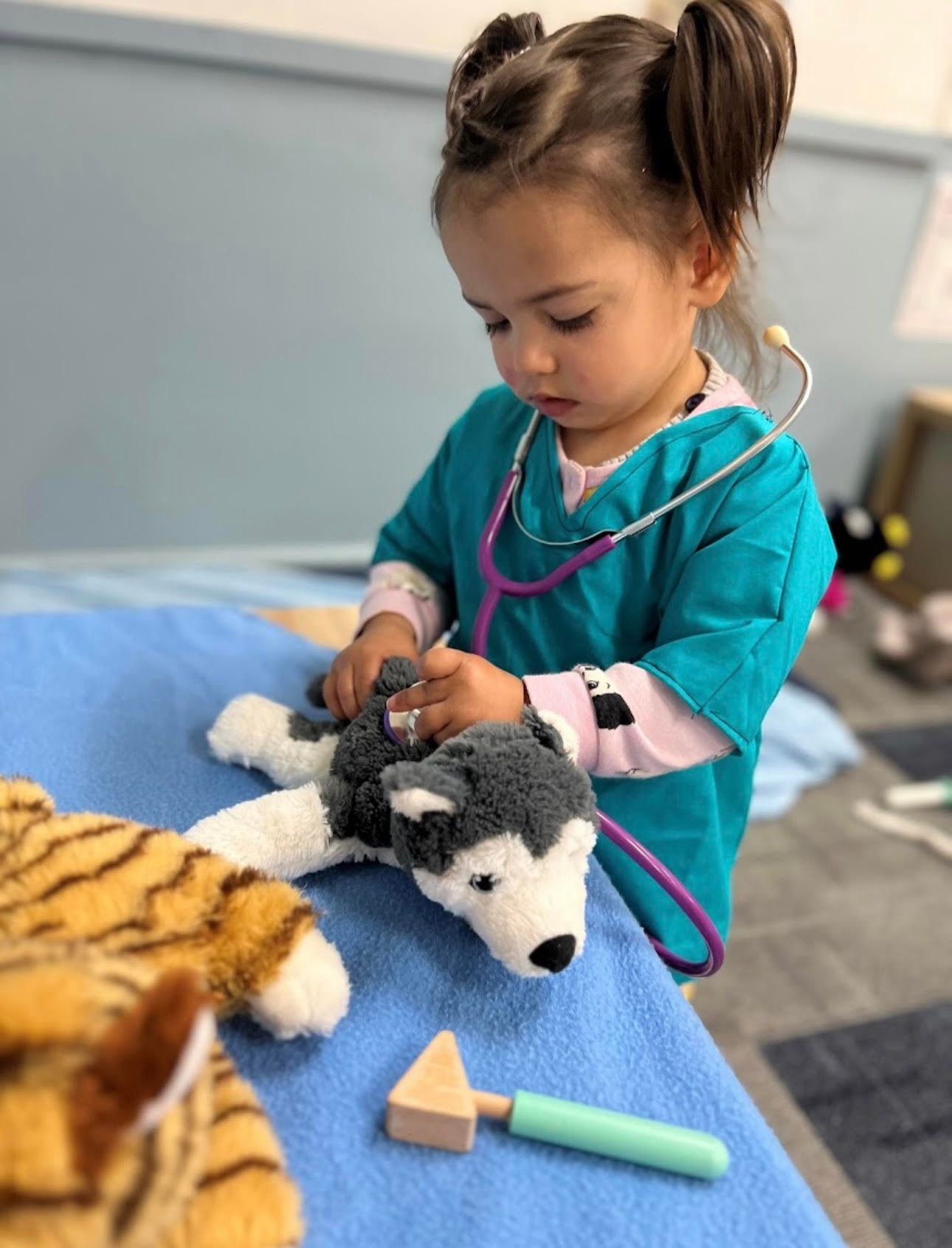 A child exploring imaginative veterinary play